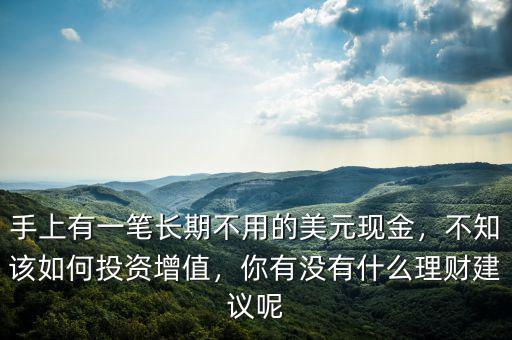 手上有一筆長期不用的美元現(xiàn)金，不知該如何投資增值，你有沒有什么理財建議呢