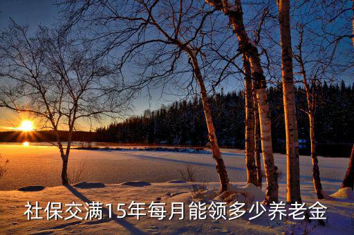 社保交滿15年每月能領(lǐng)多少養(yǎng)老金