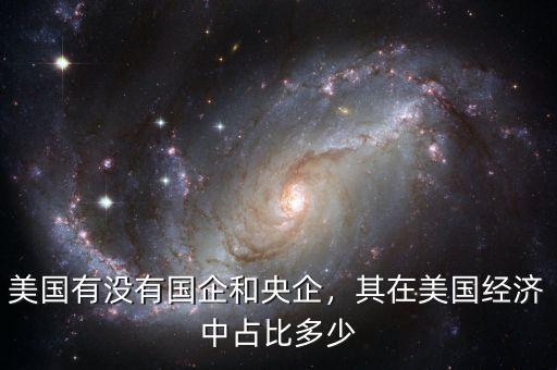 美國有沒有國企和央企，其在美國經(jīng)濟中占比多少