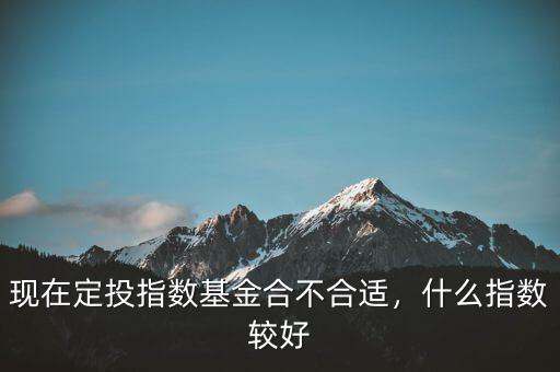 現(xiàn)在定投指數(shù)基金合不合適，什么指數(shù)較好