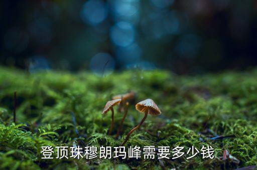 王石爬珠峰花多少錢(qián),登頂珠穆朗瑪峰需要多少錢(qián)