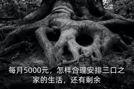 每月5000元，怎樣合理安排三口之家的生活，還有剩余