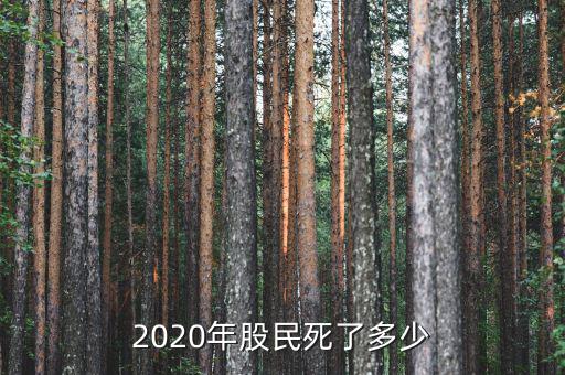 2020年股民死了多少