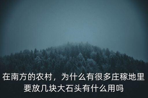 在南方的農(nóng)村，為什么有很多莊稼地里要放幾塊大石頭有什么用嗎