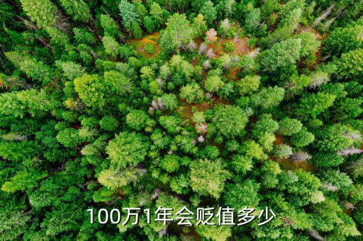 100萬(wàn)貶值多少,十年后會(huì)貶值多少