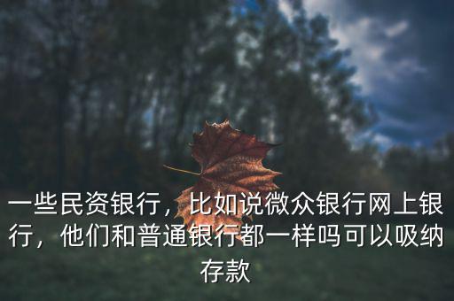 一些民資銀行，比如說微眾銀行網(wǎng)上銀行，他們和普通銀行都一樣嗎可以吸納存款