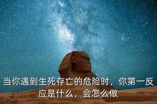 什么生死存亡的問題,當(dāng)你遇到生死存亡的危險時