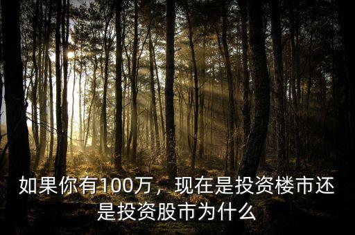 如果你有100萬，現(xiàn)在是投資樓市還是投資股市為什么