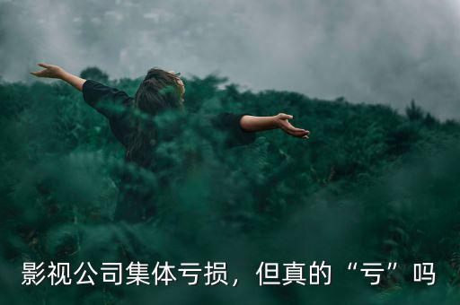 影視公司怎么賺錢,如何選擇賺錢的影視項(xiàng)目