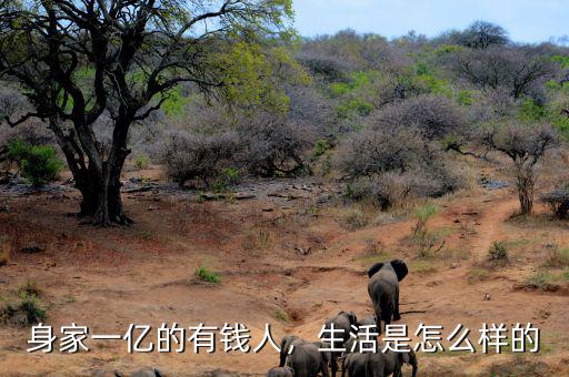 劉益謙是什么生意的這么有錢(qián),都是做什么生意的