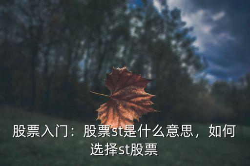 股票入門：股票st是什么意思，如何選擇st股票