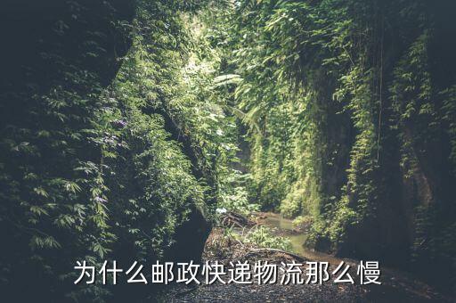 郵政為什么要轉(zhuǎn)型,為什么郵政快遞物流那么慢