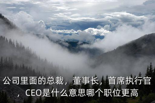 什么是雙ceo制,CEO是什么意思