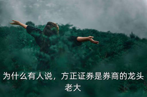 為什么有人說，方正證券是券商的龍頭老大