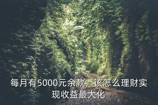 每月5000塊怎么理財,該怎么理財實現收益最大化