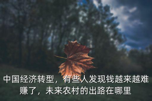 中國經(jīng)濟轉(zhuǎn)型，有些人發(fā)現(xiàn)錢越來越難賺了，未來農(nóng)村的出路在哪里