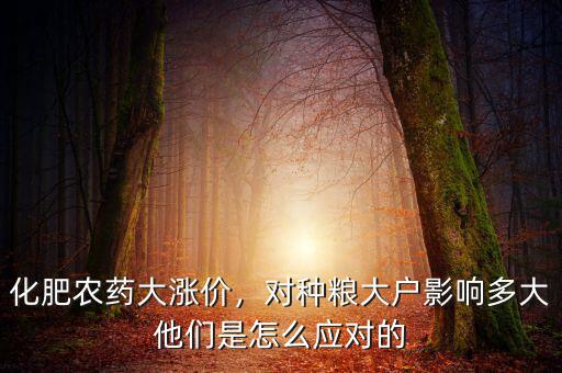 種糧大戶(hù)是怎么收糧的,對(duì)種糧大戶(hù)影響多大