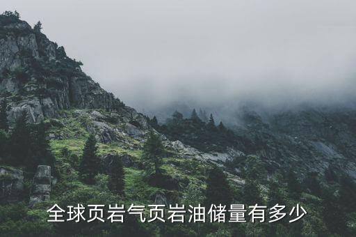 全球頁巖氣頁巖油儲(chǔ)量有多少