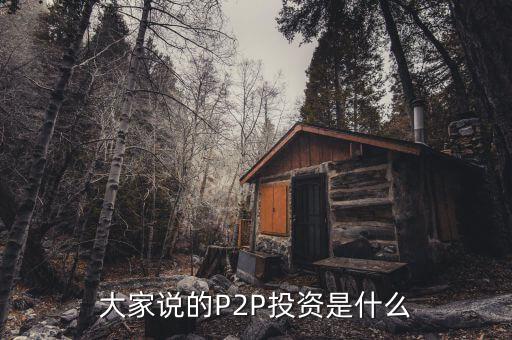 大家說的P2P投資是什么