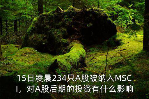 15日凌晨234只A股被納入MSCI，對A股后期的投資有什么影響