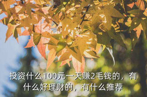 投資什么100元一天賺2毛錢的，有什么好理財?shù)模惺裁赐扑]