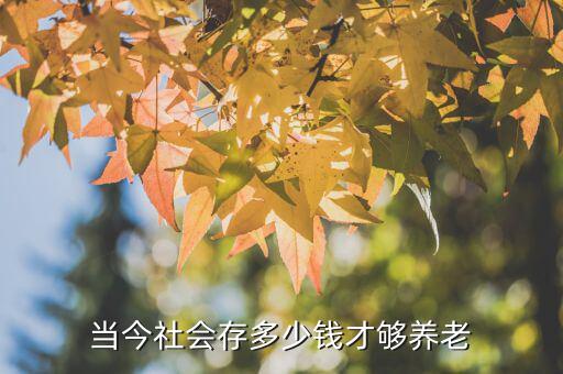 當(dāng)今社會(huì)存多少錢才夠養(yǎng)老