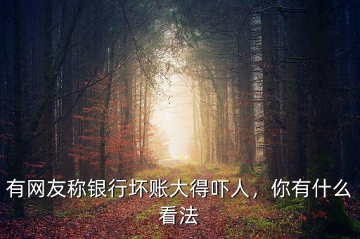 有網(wǎng)友稱銀行壞賬大得嚇人，你有什么看法