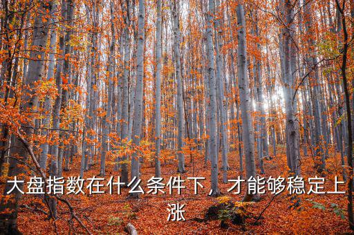 什么是指數(shù)穩(wěn)定,大盤指數(shù)在什么條件下