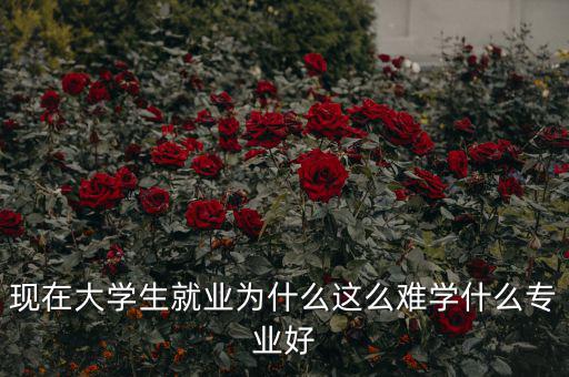 現在大學生就業(yè)為什么這么難學什么專業(yè)好