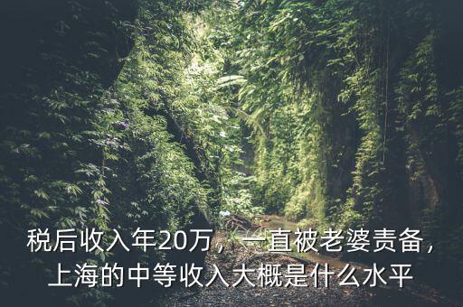 稅后收入年20萬，一直被老婆責(zé)備，上海的中等收入大概是什么水平