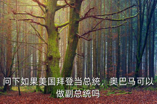 問下如果美國拜登當總統(tǒng)，奧巴馬可以做副總統(tǒng)嗎