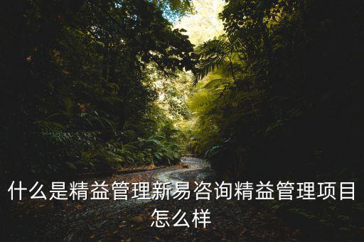 什么是精益管理新易咨詢精益管理項(xiàng)目怎么樣