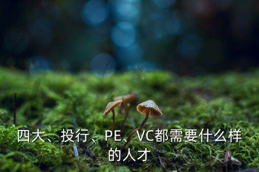 四大、投行、PE、VC都需要什么樣的人才