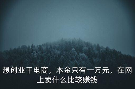 想創(chuàng)業(yè)干電商，本金只有一萬元，在網(wǎng)上賣什么比較賺錢