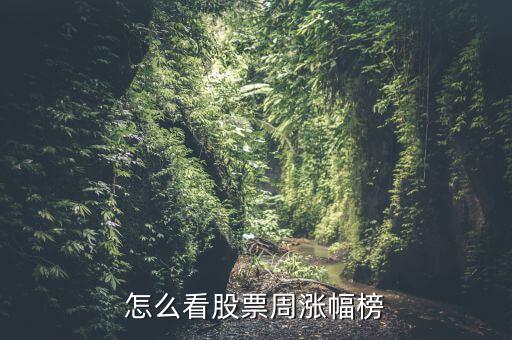 怎么看股票周漲幅榜