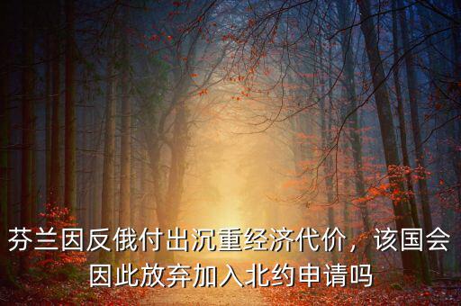 芬蘭的靠什么經(jīng)濟,芬蘭因反俄付出沉重經(jīng)濟代價