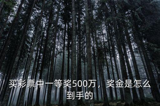 微信彩票中500萬(wàn)怎么領(lǐng)取,買彩票中一等獎(jiǎng)500萬(wàn)