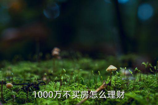 1000萬(wàn)不買(mǎi)房怎么理財(cái)