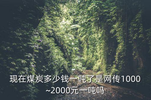 現在煤炭多少錢一噸了是網傳1000~2000元一噸嗎