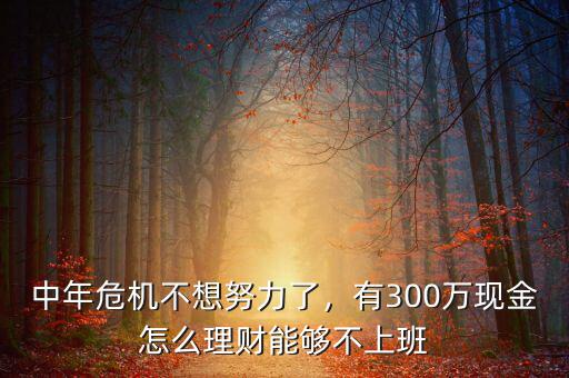 中年危機不想努力了，有300萬現(xiàn)金怎么理財能夠不上班