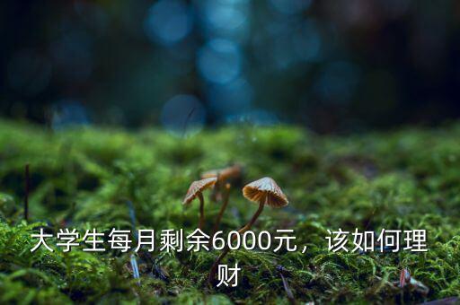 每月6000塊怎么理財,如果月薪只有6000塊