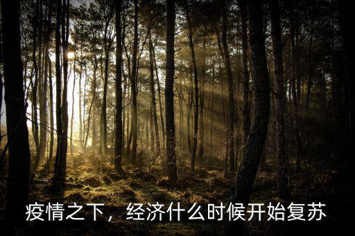 今年經(jīng)濟什么時候,經(jīng)濟什么時候開始復(fù)蘇