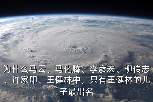 為什么馬云、馬化騰、李彥宏、柳傳志、許家印、王健林中，只有王健林的兒子最出名