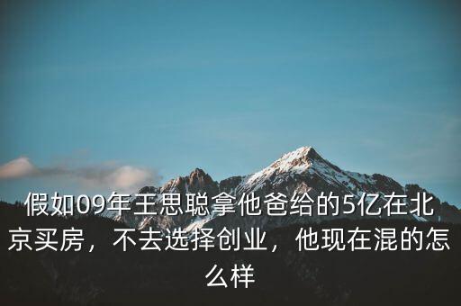 假如09年王思聰拿他爸給的5億在北京買房，不去選擇創(chuàng)業(yè)，他現(xiàn)在混的怎么樣