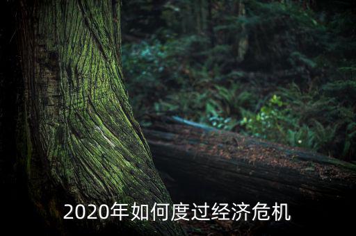 2020年如何度過經(jīng)濟(jì)危機(jī)