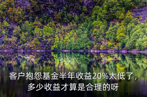 客戶抱怨基金半年收益20%太低了，多少收益才算是合理的呀