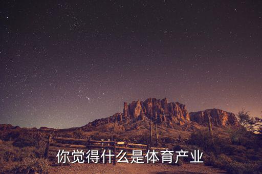 體育產(chǎn)業(yè)是什么,你覺得什么是體育產(chǎn)業(yè)