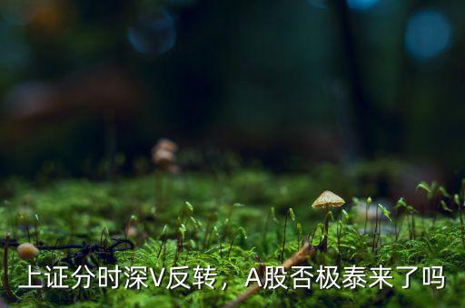 上證分時(shí)深V反轉(zhuǎn)，A股否極泰來了嗎