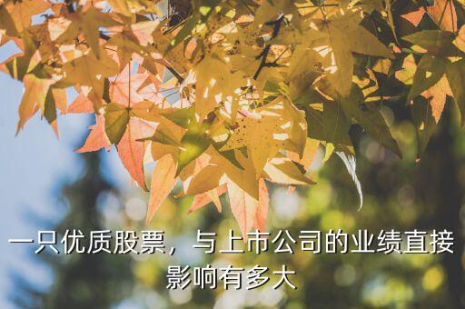 什么是優(yōu)質(zhì)股票,好股票的標準是什么