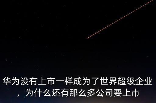 華為沒有上市一樣成為了世界超級企業(yè)，為什么還有那么多公司要上市